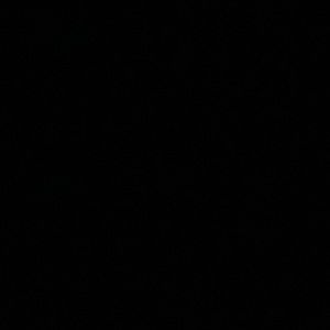 Meet your Posher, Lincoln